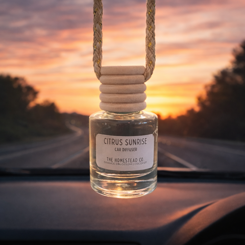 Car Diffuser